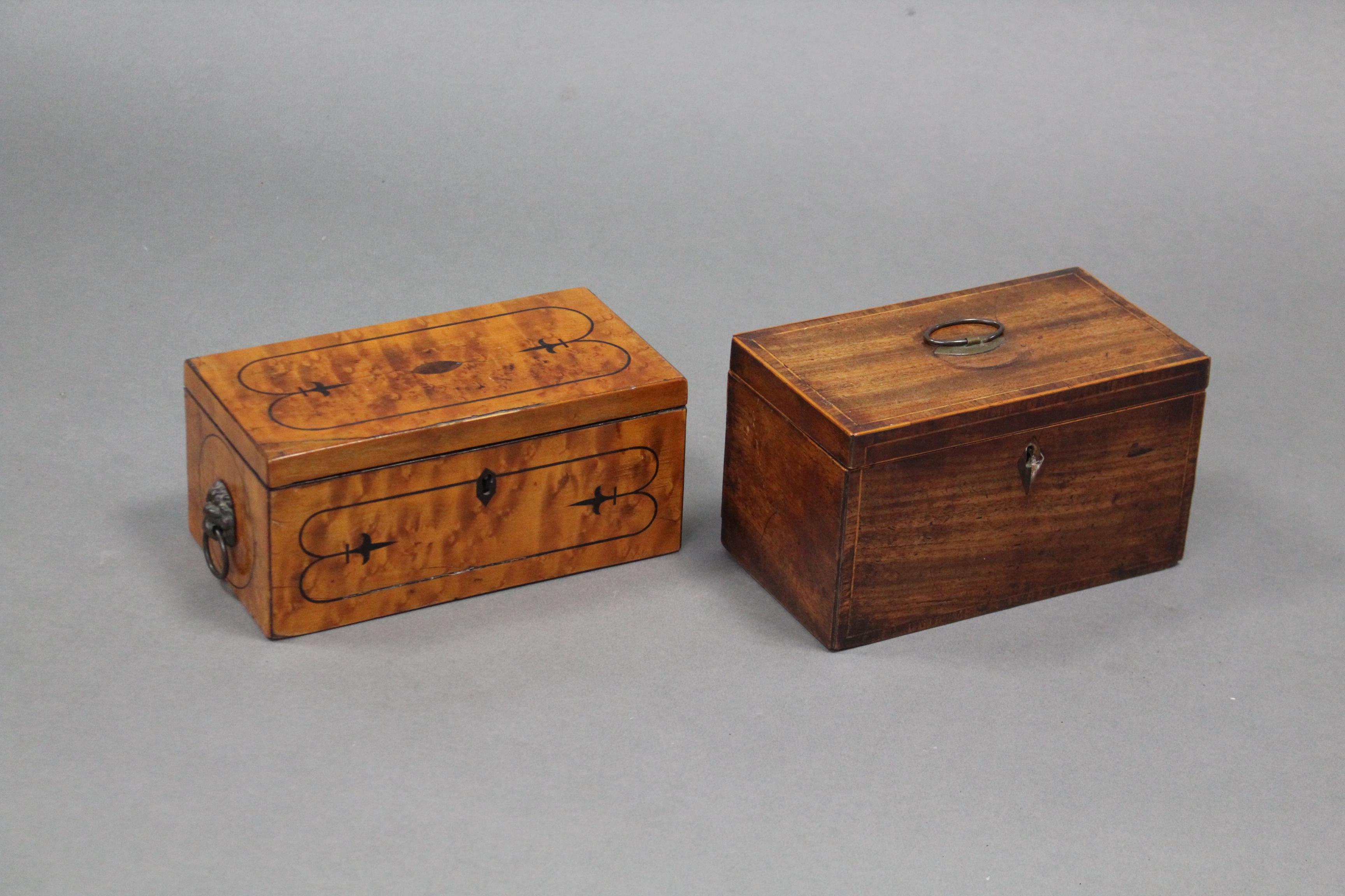 A Regency satinwood two division tea caddy with ebonised string inlay & lion-mask & ring side - Image 2 of 8