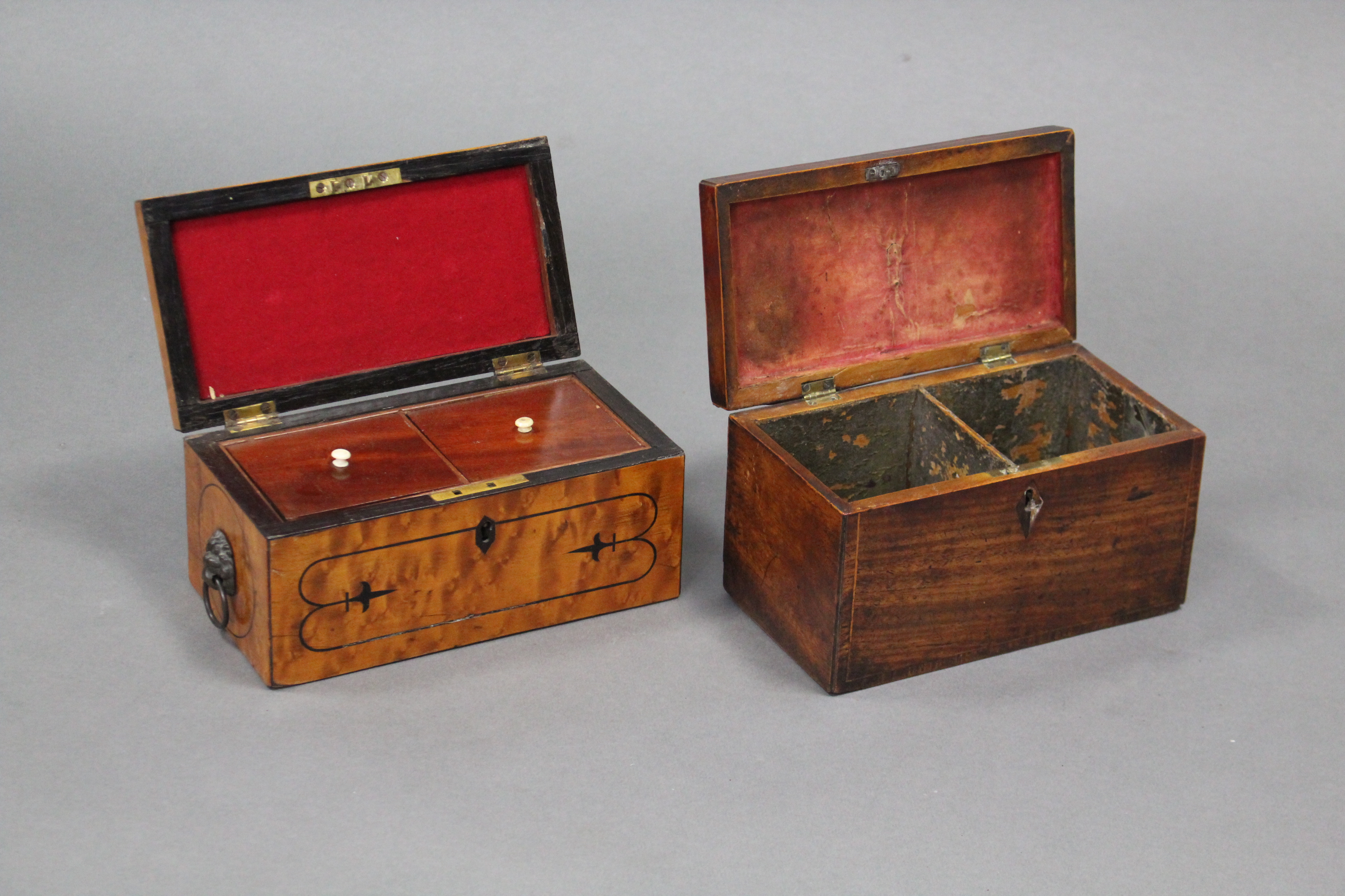 A Regency satinwood two division tea caddy with ebonised string inlay & lion-mask & ring side - Image 3 of 8