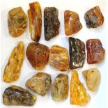 Fifteen natural amber “nuggets”, each of irregular shape, & varying in tone & opacity.