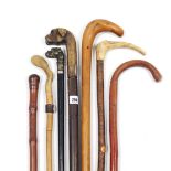 Two gent’s walking canes, each with dogs head handle; together with five other walking canes.