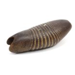 An armadillo shell, 16” long.