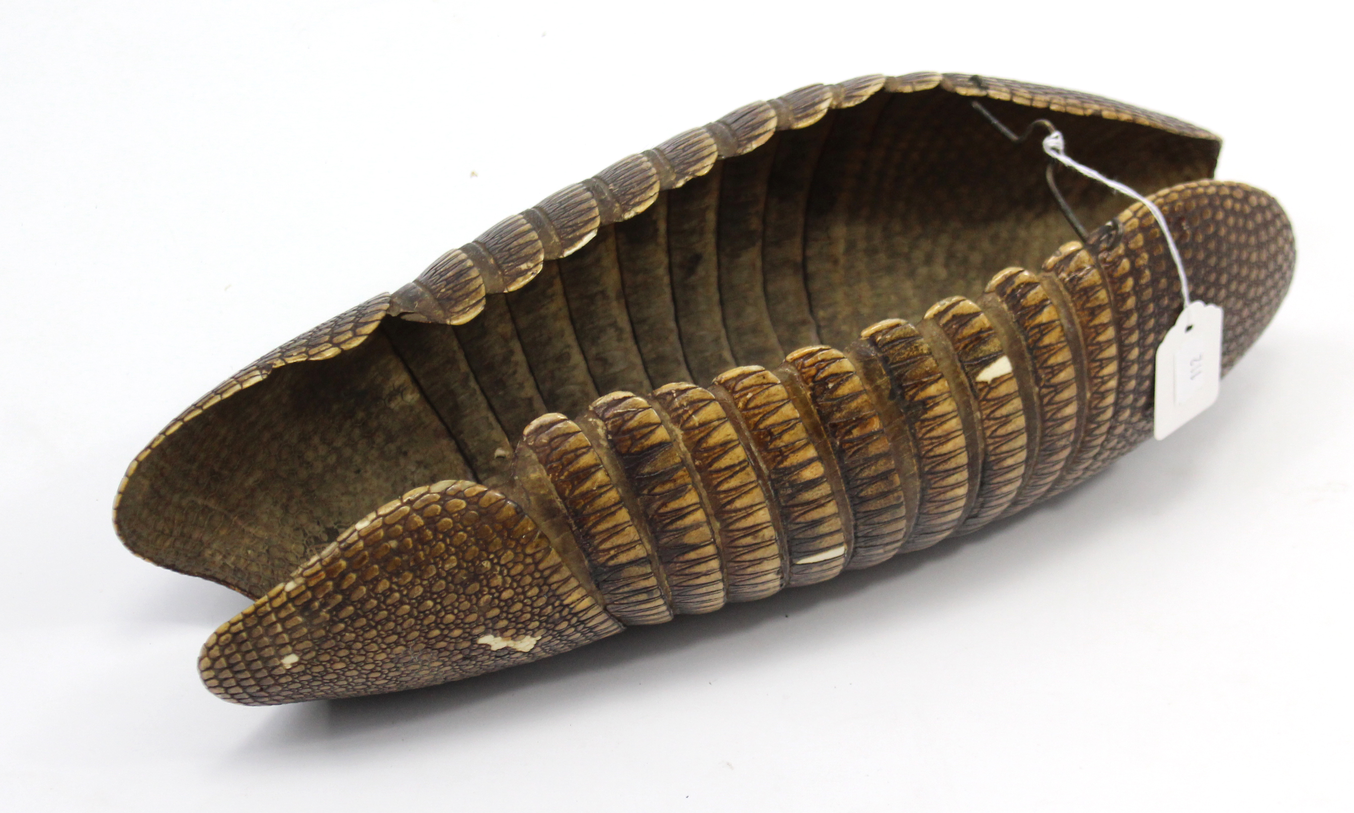 An armadillo shell, 16” long. - Image 3 of 4