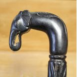 An early 20th century carved ebony gent’s walking cane, with elephant head handle, 35½” long.