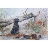 GILLIAN HARRIS (Contemporary) A black Labrador in a woodland clearing with pheasant, woodcock, & a