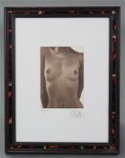 WILLI KISSMER (B. 1951). A group of three Limited Edition etchings – nude figure studies, each