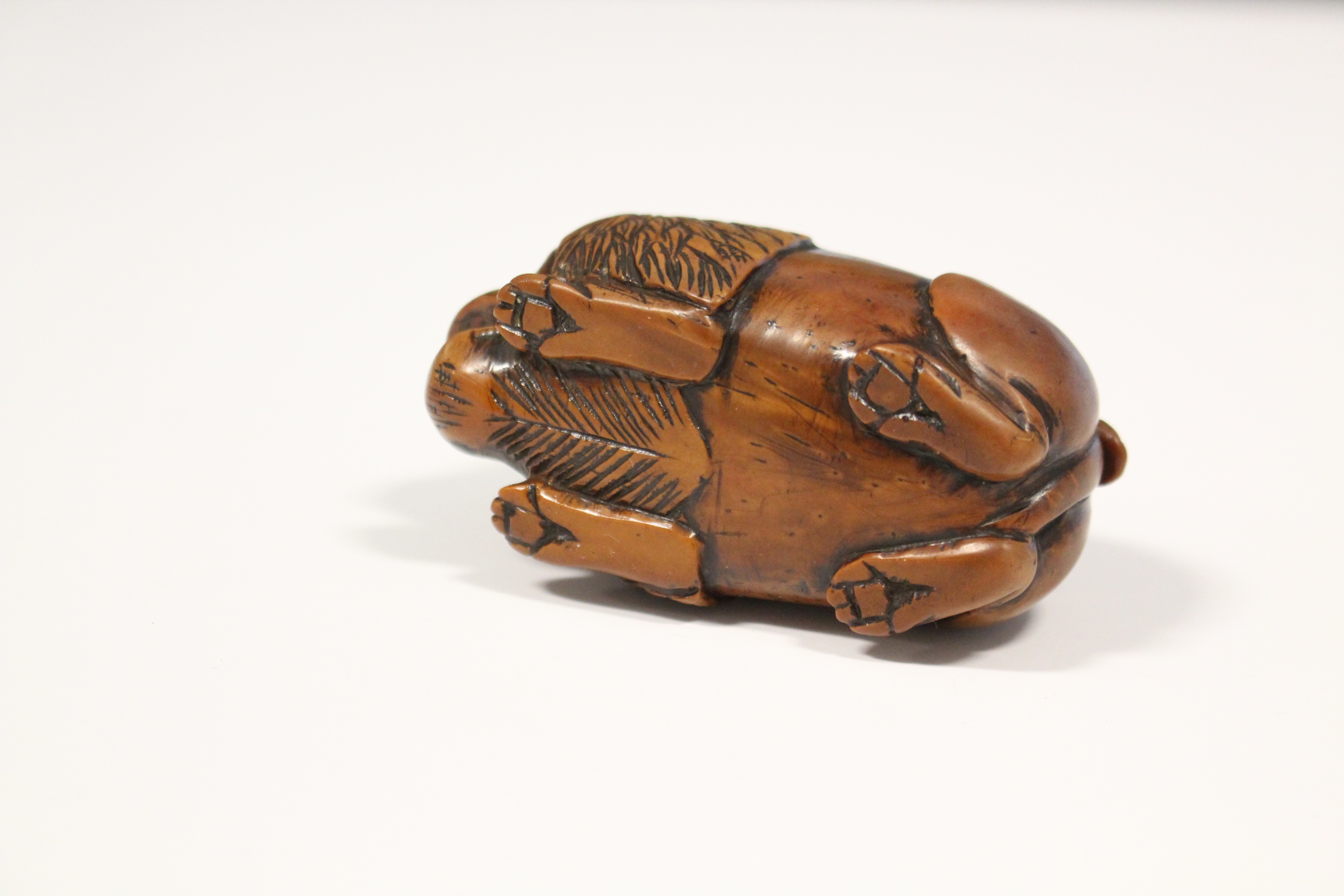 A 19th century coquilla-nut snuff box carved in the form of a crouching lion, with inset glass - Image 5 of 6