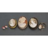A 9ct. gold ring set oval shell cameo; a pair of cameo ear-studs; & three oval cameo brooches.