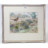 A large watercolour painting by B. Fensome, titled to reverse: “Pheasants”, signed, 13” x 17½”;