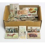 Approximately two hundred various loose cigarette cards by W.D. & H.O. Wills, John Player, etc.,