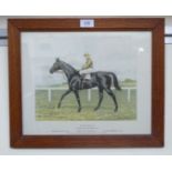 Harrington Bird - 'Papyrus' a racehorse and jockey print 9'' x 12'' framed HSR