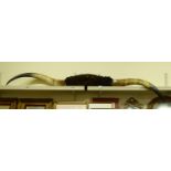 A set of buffalo horns 82''w S