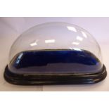 A late 19thC oval glass display dome, on an oval, midnight blue velvet covered,