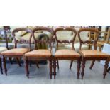 A set of four late Victorian framed balloon back dining chairs with carved crests and gold coloured