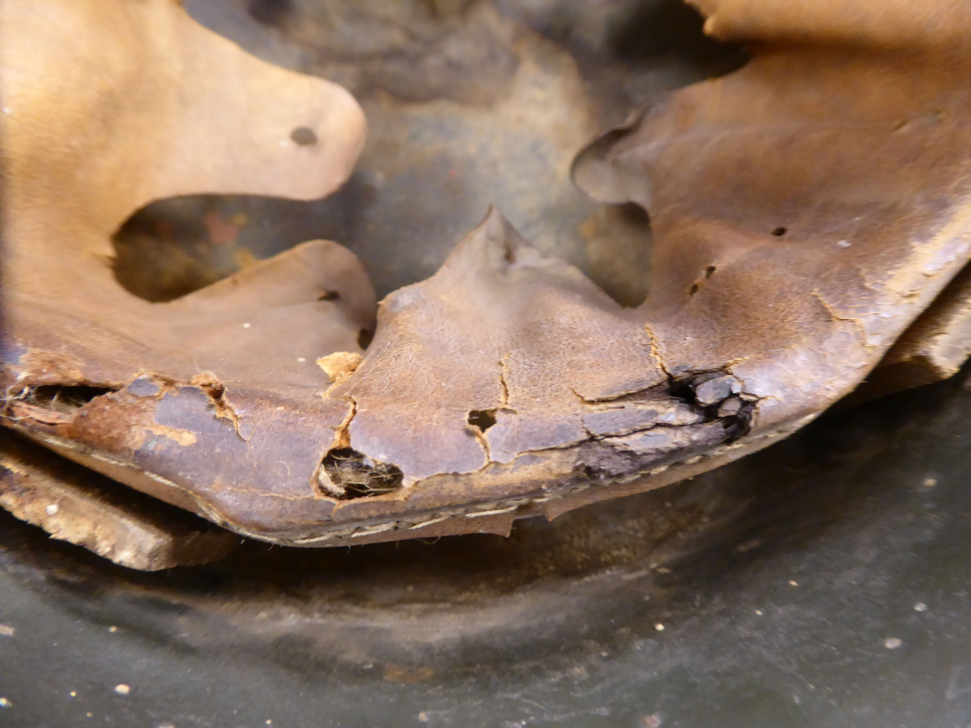 A German green painted SS helmet with a hide lining and decals (Please Note: this lot is offered - Image 7 of 8