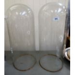 A pair of late Victorian glass display domes 22.