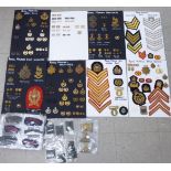 An extensive collection of Royal Marine, Marine Artillery, Light Infantry and Band Service insignia,