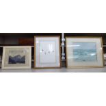 Three framed pictures: to include seabirds in a shoreline setting,