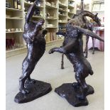 A pair of modern cast and patinated bronze 'boxing hares' 27'' & 36''h CA