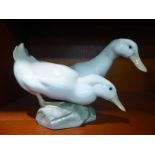 A Royal Copenhagen porcelain model, two ducks,