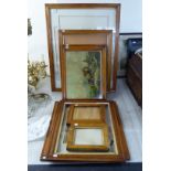 Eight similar late 19thC maple veneered picture frames 10'' x 8'' - 24'' x 30'' with two
