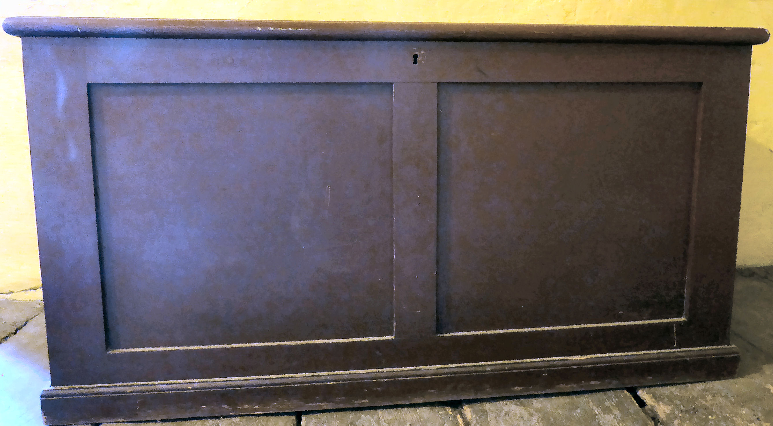 An early 20thC stained pine and panelled camphorwood chest with straight sides and a hinged lid,