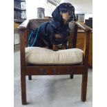 An Arts & Crafts period stained beech framed tub chair with a caned back,