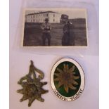 A Nazi Seeresbergfuhrer Edelweiss Mountain Troops enamelled green and white badge,