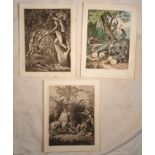 AA VV BIG GAME IN AFRICA Lot of three engravings of which one is coloured representing scenes of big