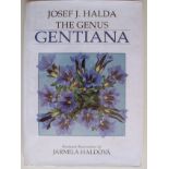 Halda, Josef J. (Text) + Haldova, Jarmilla (Illustrations) The Genus Gentiana This copy is inscribed