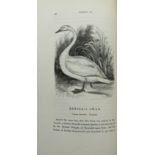 T. C. Eyton A History of the Rarer Species of British Birds 1 volume. First edition 1836. Originally