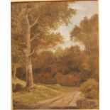 Abraham de Smidt (1829 - 1908) Oil on Paper Landscape Painting titled "In Knysna Forest" by 19th