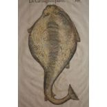 Conrad Gesner Original handcoloured woodcut of a Pacific Electric Ray from the first Latin edition
