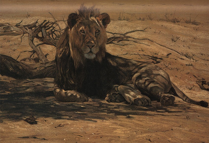 Sanchez-Ari?ño (Tony) ed. HUNTING IN BOTSWANA(Signed by the editor and the illustrator) - Image 4 of 4