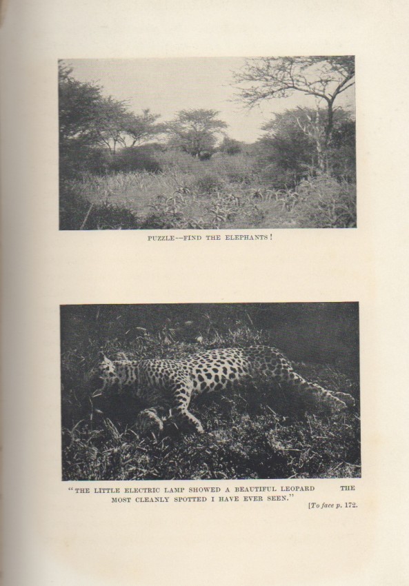Mosse, Captain A. H. E. My Somali BookWhile stationed at Aden, the author ventured on two hunting - Image 4 of 4