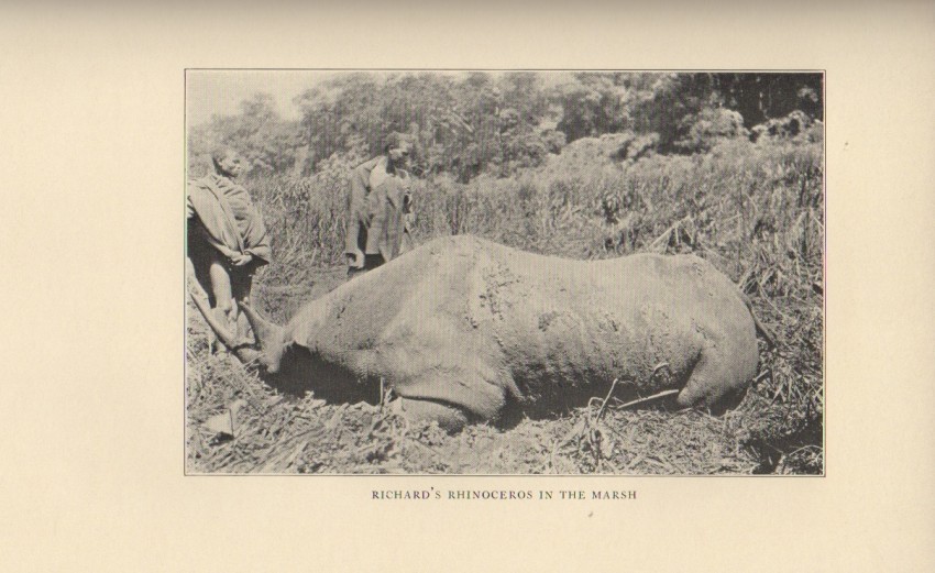 Curtis, Charles P., Jr. and Richard C. Curtis Hunting In Africa East And WestWith Philip Percival as - Image 4 of 4