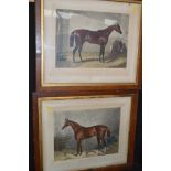 Antique aquatints.