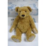 Steiff Teddy Bear with Hot Water Bottle 1908