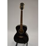 Richwood Artist Series acoustic guitar, in gig bag.