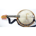 Mandolin banjo, cased