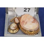 Carved shell cameo jewellery