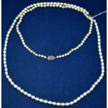 Two cultured pearl necklaces