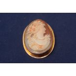 Cameo brooch