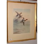 After Archibald Thorburn - print.