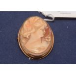 Cameo brooch