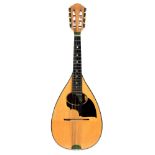 Luigi Embergher Bowl back mandolin