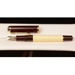 Pelikan fountain pen