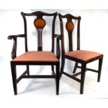 A set of five Edwardian satinwood inlaid walnut dining chairs with shell inlay, comprising four side