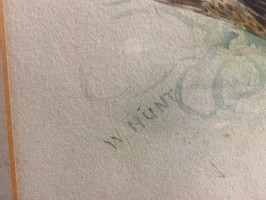 W Hunt - Skylark and clover, watercolour, signed lower left, 17 x 24 cm - Image 2 of 2