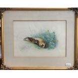 W Hunt - Skylark and clover, watercolour, signed lower left, 17 x 24 cm