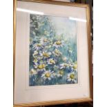 Christopher Hollick - Daisies, watercolour, signed